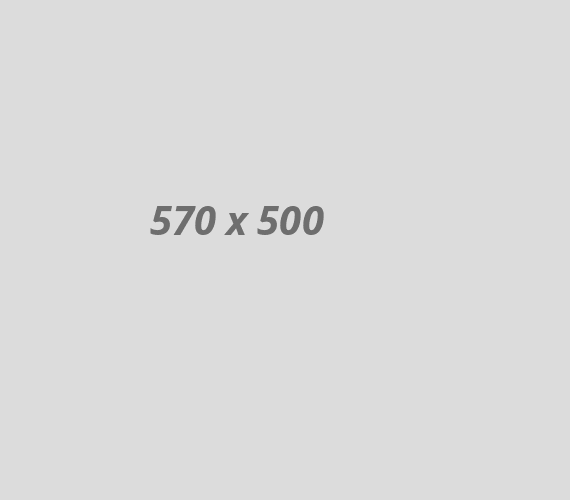 banner-img01